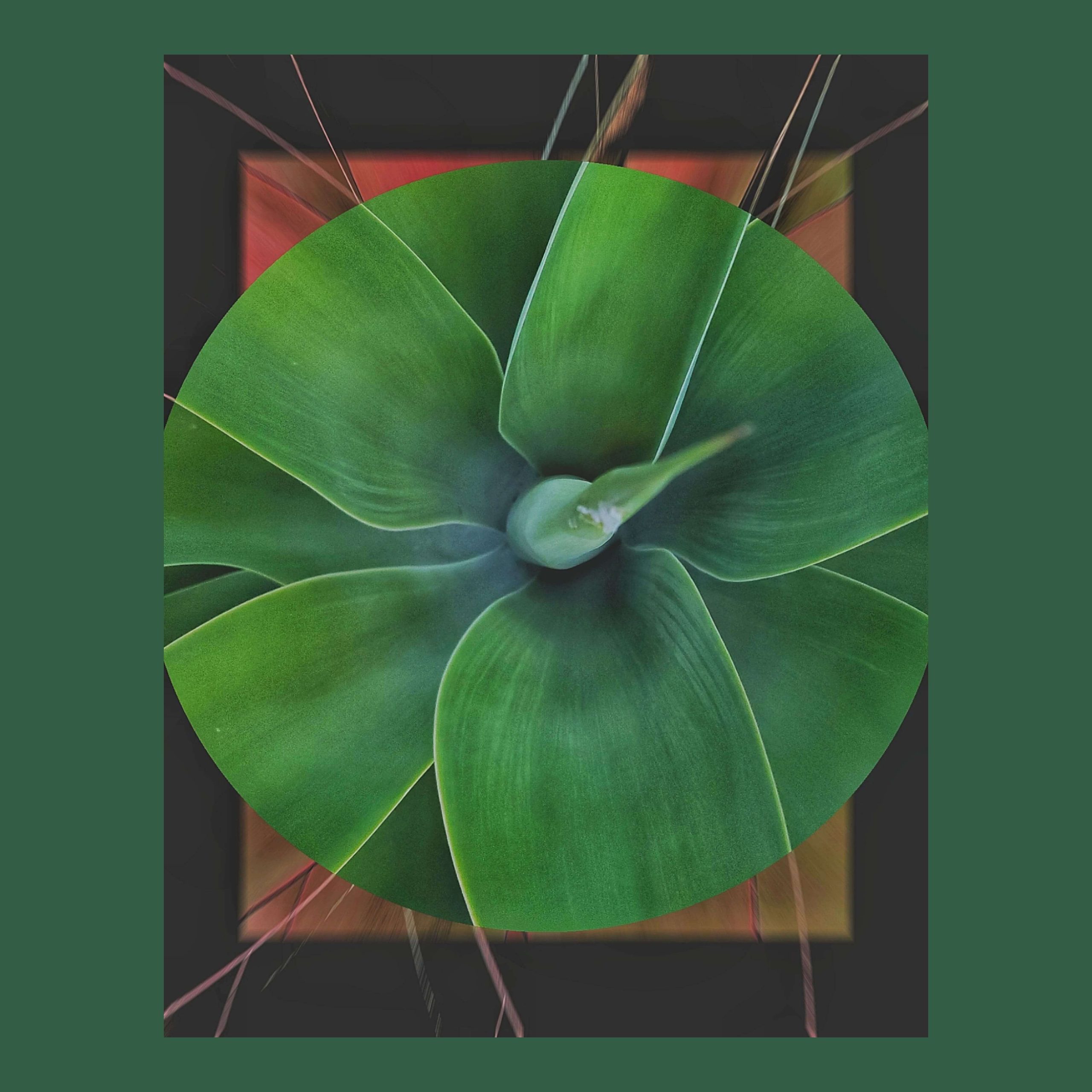 OmemCiocca Digital Non-ART Vol.1-17.jpeg